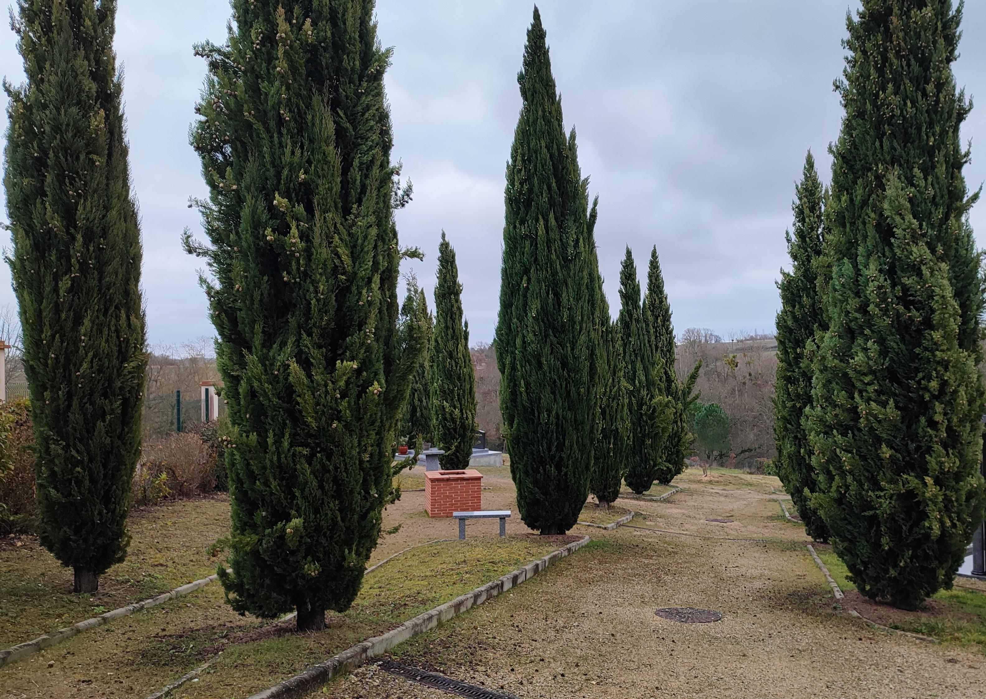 avec un columbarium, des cavurnes, un puits de dispersion des cendres, ainsi que la partie caveaux