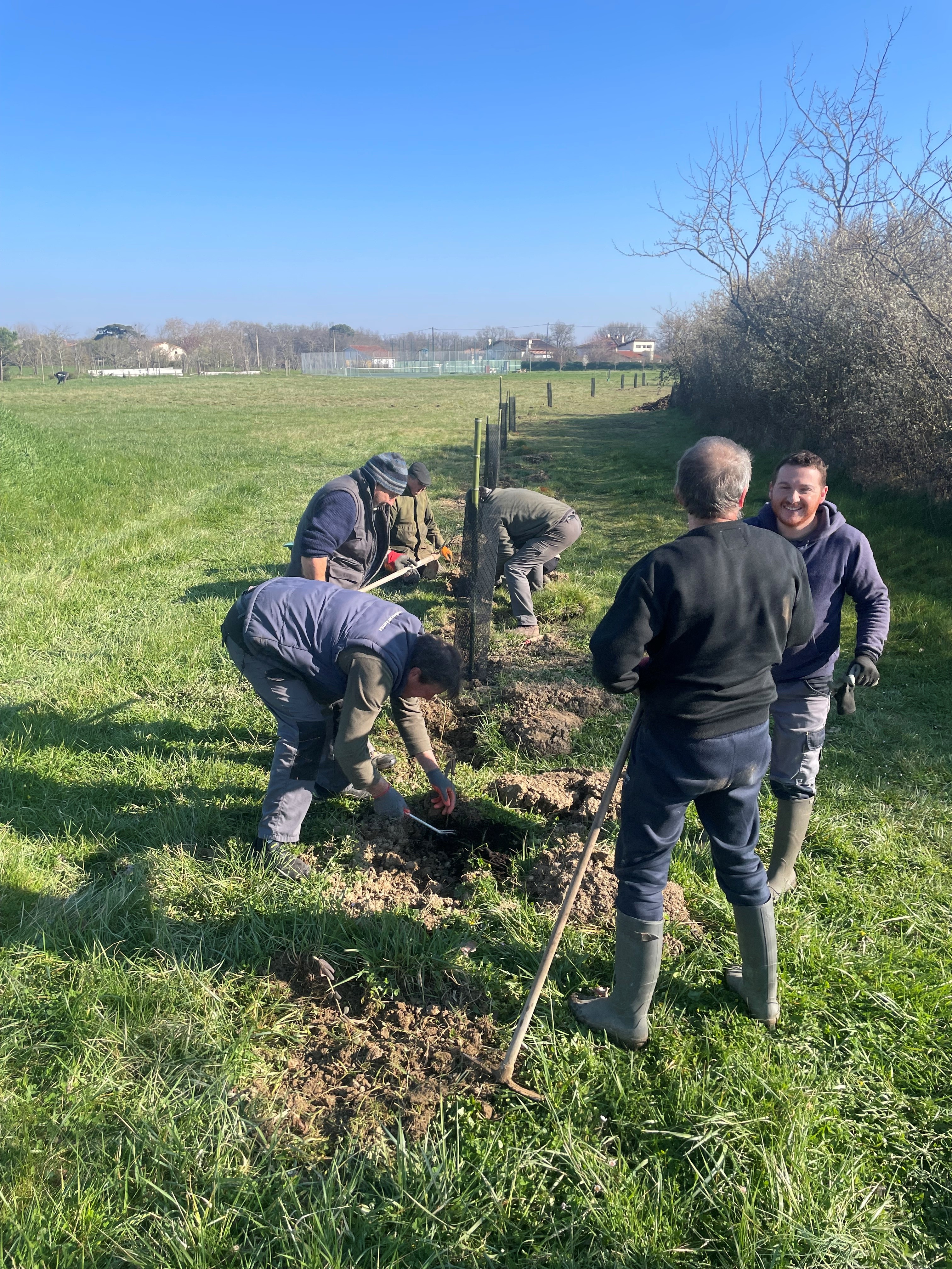 Plantations nouvelles 2025